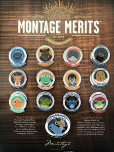 Merit, merit, on the wall...