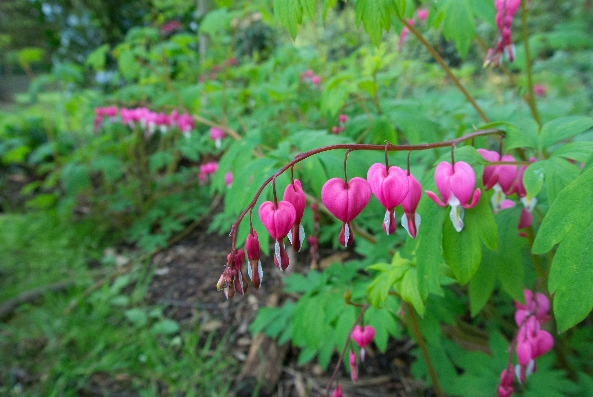 Putting your heart into your hotel bookings.