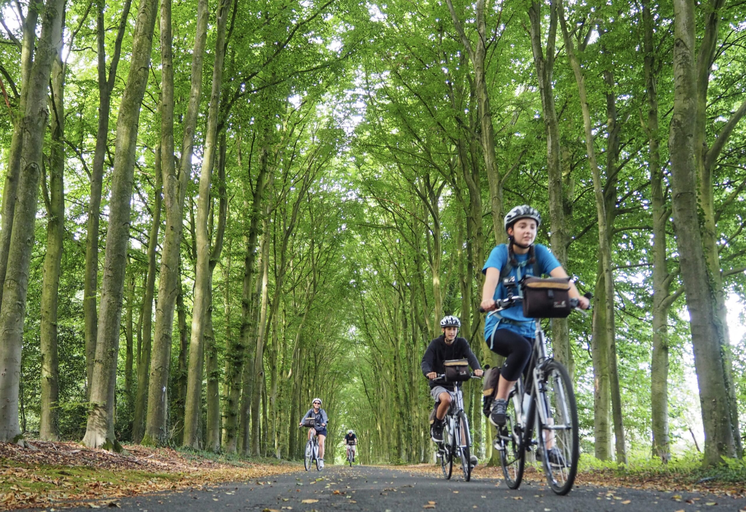 Seeking and cycling.