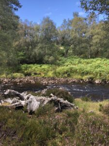 You can almost smell the crisp air from here.