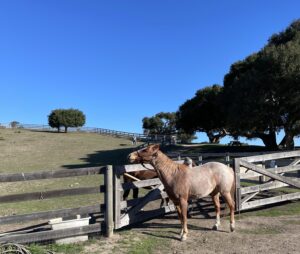 Wide open spaces....