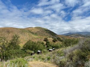 Took our cabin fever to an actual cabin....