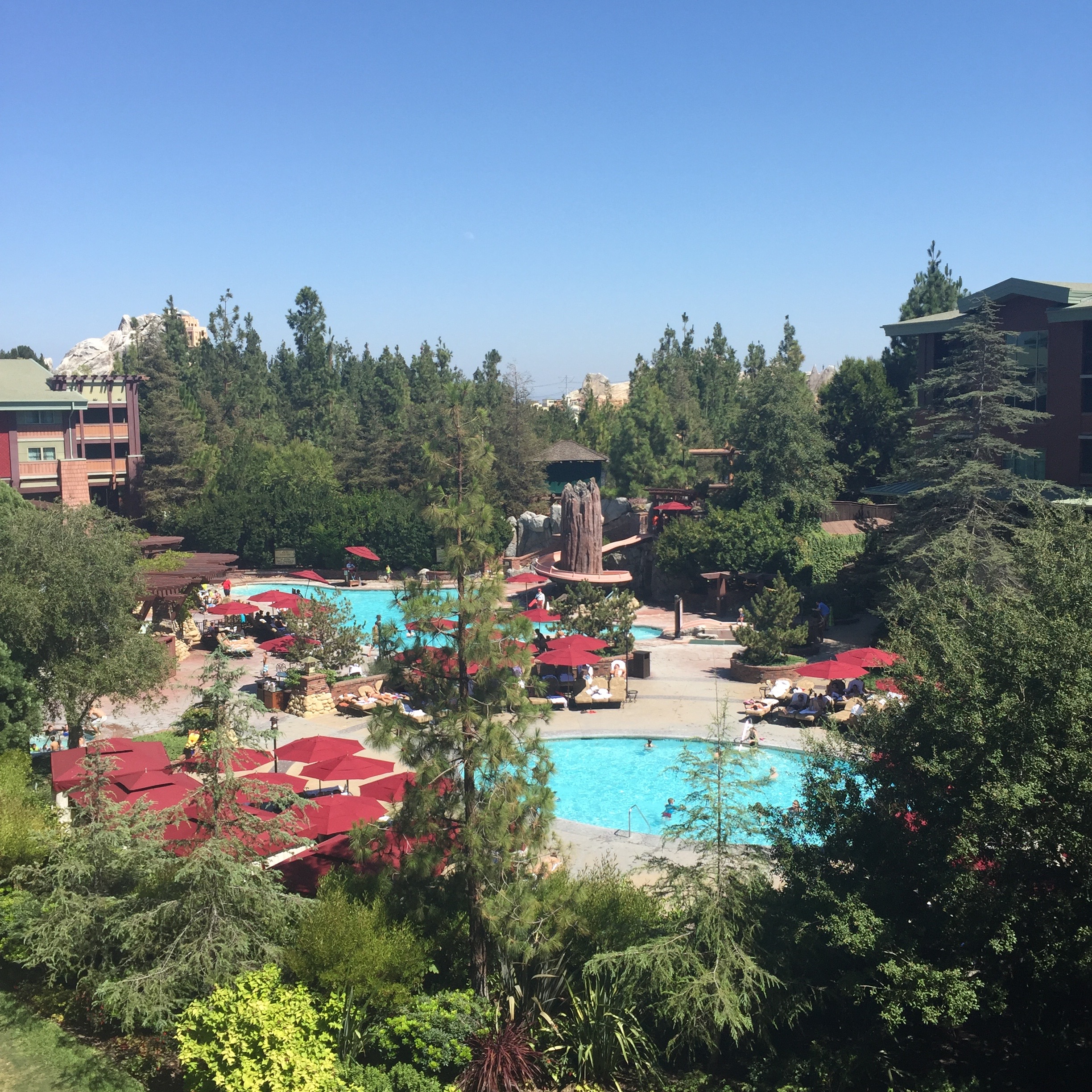 The backyard of the not-