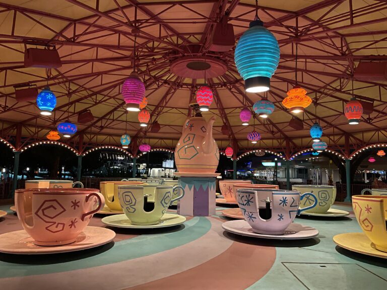 Taking The Tweens to Walt Disney World